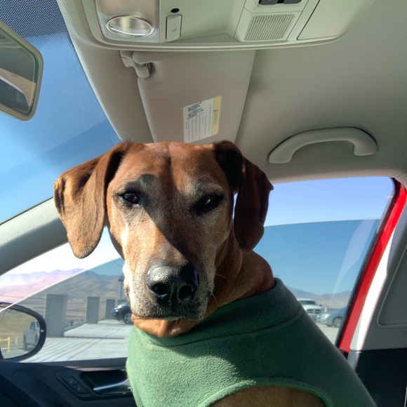 Meet your Posher, Kk - Picture 1 of 1